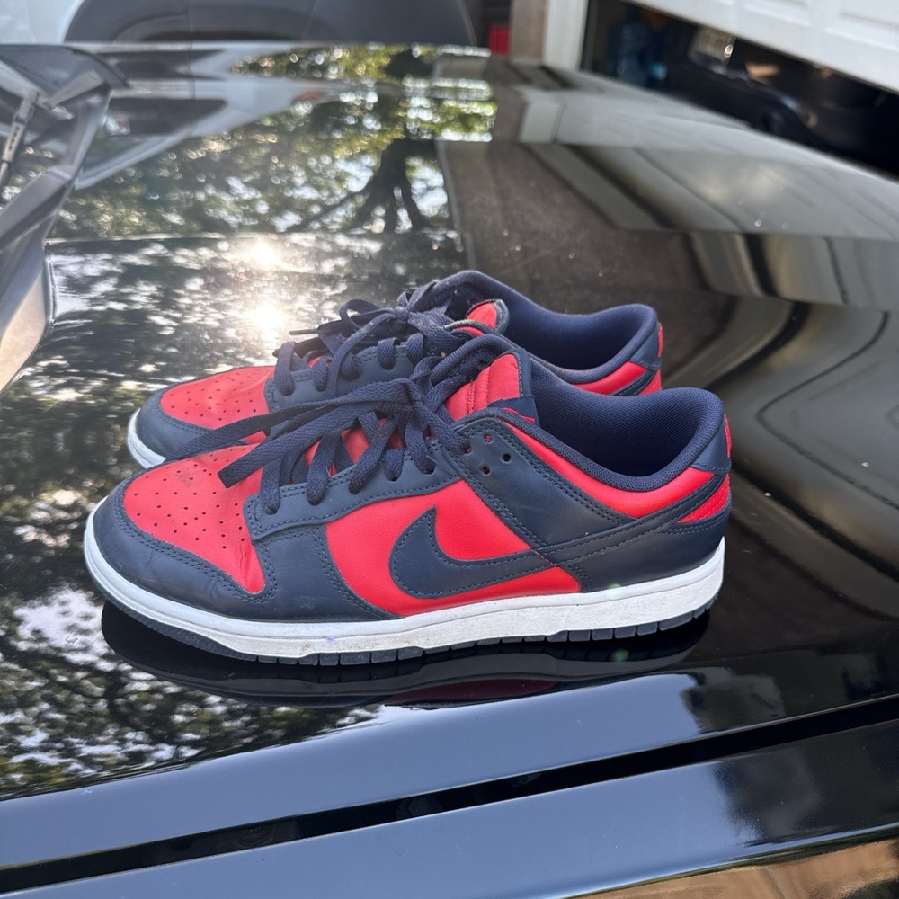 Nike dunks Sneakers